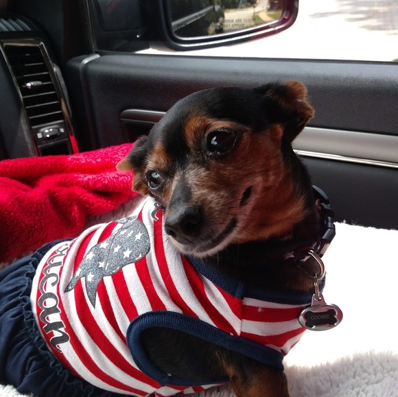 Meet your Posher, Marla - Picture 9 of 11